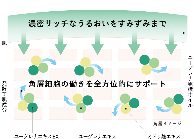 濃密リッチなうるおいをすみずみまで