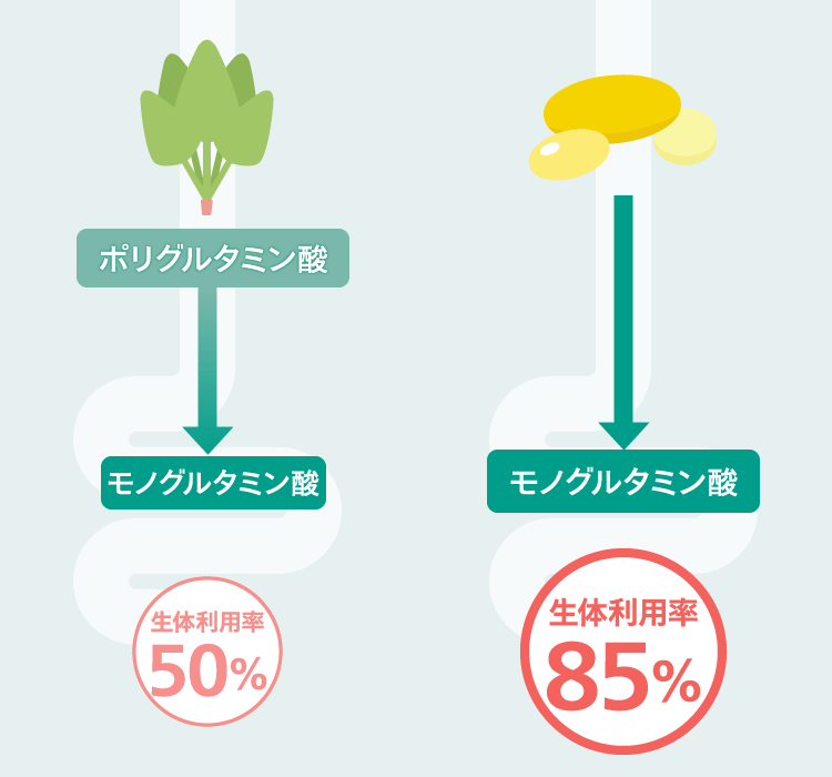 食品からとる葉酸とサプリメントの葉酸は何が違うの？