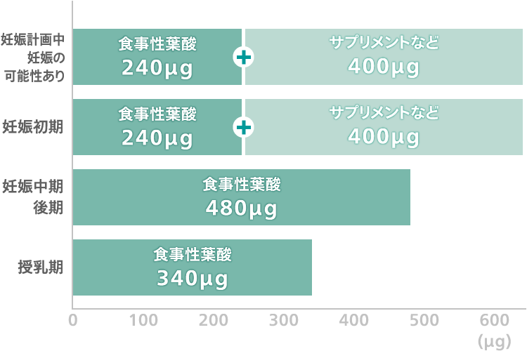 葉酸は妊娠前から妊娠中、授乳期にも必要な栄養素