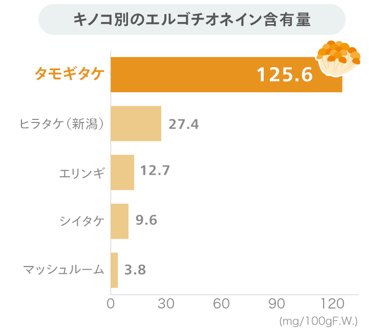 エルゴチオネインを多く含むのはタモギ茸