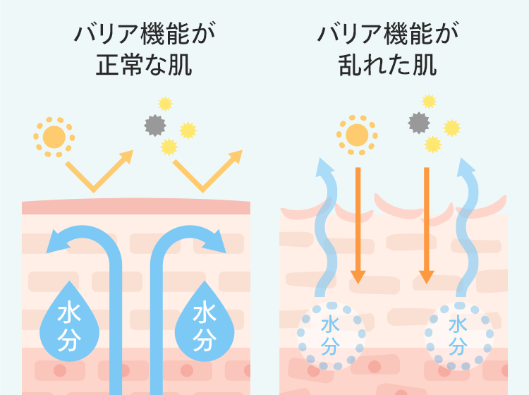 バリア機能が正常な肌 バリア機能が乱れた肌(比較図)