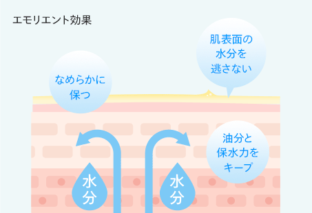 エモリエントリッチ効果 肌表面の水分を逃さない 肌をなめらかに保つ 油分と保水力をキープ