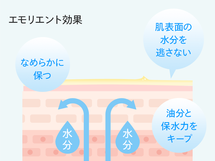 エモリエントリッチ効果 肌表面の水分を逃さない 肌をなめらかに保つ 油分と保水力をキープ