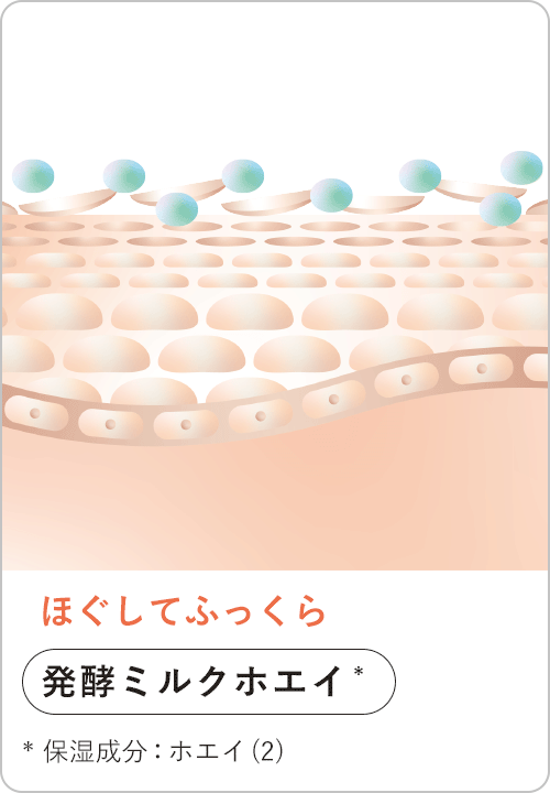 ほぐしてふっくら 発酵ミルクホエイ