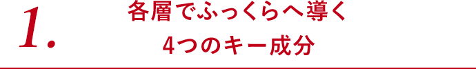 各層でふっくらへ導く 4つのキー成分