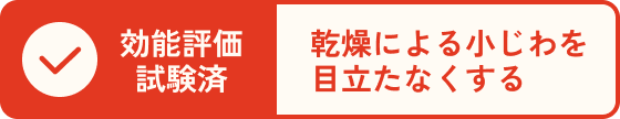 効能評価試験済 乾燥による小じわを目立たなくする