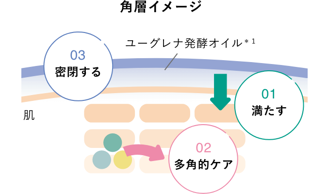 角層イメージ