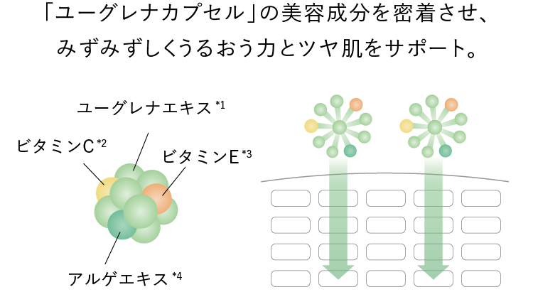 「ユーグレナカプセル」の美容成分を密着させ、みずみずしくうるおう力とツヤ肌をサポート