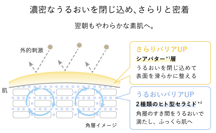 濃密なうるおいを閉じ込め、さらりと密着 翌朝もやわらかな素肌へ