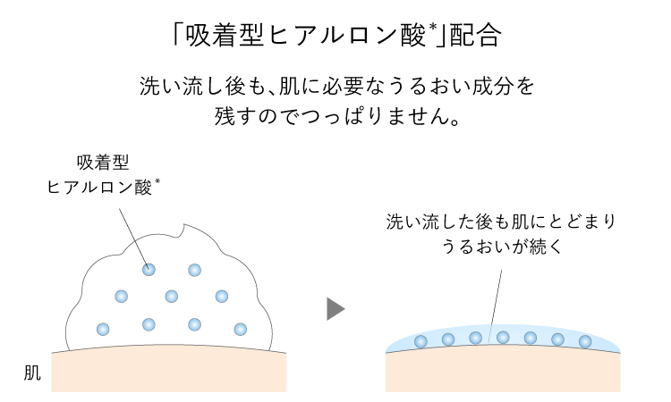 吸着型ヒアルロン酸配合