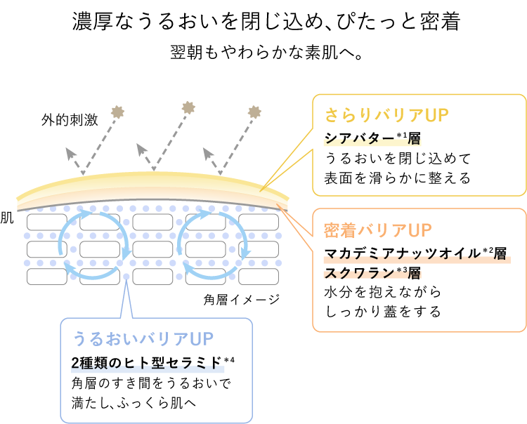 濃厚なうるおいを閉じ込め、ぴたっと密着 翌朝もやわらかな素肌へ