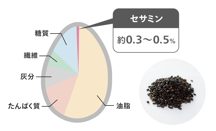 セサミンとは