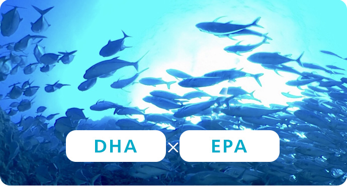 DHA×EPA