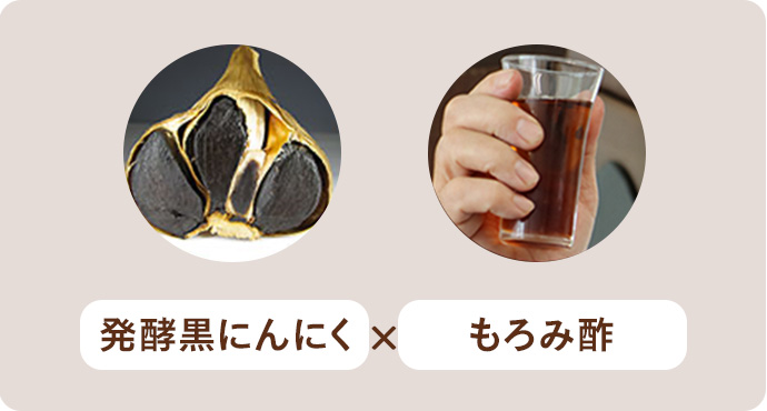 発酵黒にんにく×もろみ酢