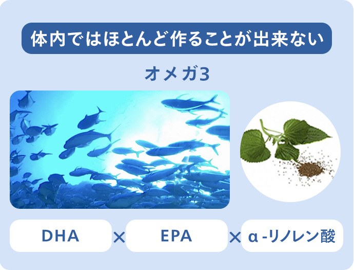 体内ではほとんど作ることが出来ないオメガ3