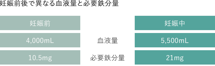 妊娠前後で異なる血液量と必要鉄分量