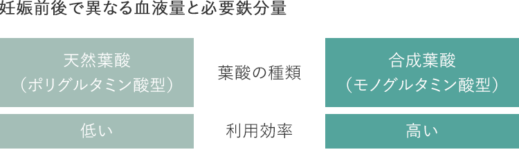 妊娠前後で異なる血液量と必要鉄分量