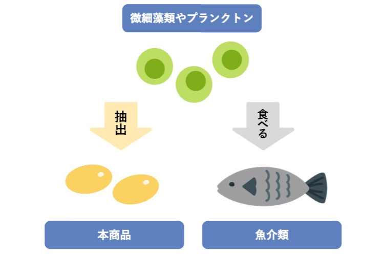 藻類由来のDHA